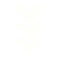 OpenTRD